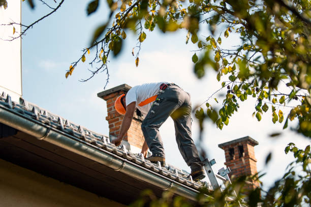 Best Metal Roofing Installation  in Brodhead, WI