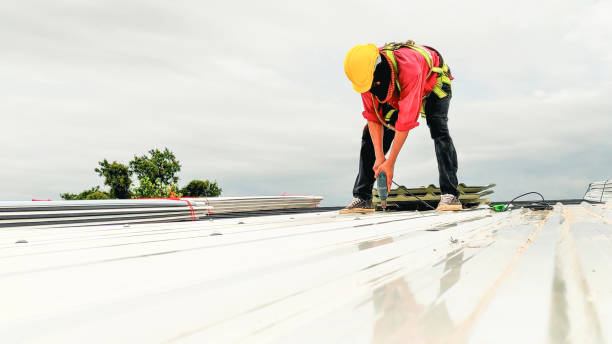 Professional Roofing Service in Brodhead, WI