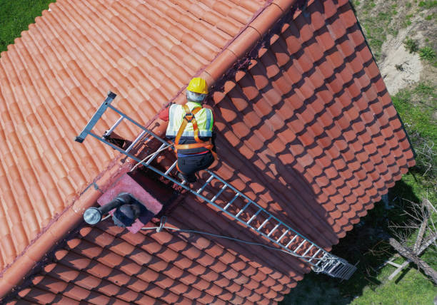 Best Green or Eco-Friendly Roofing Solutions  in Brodhead, WI