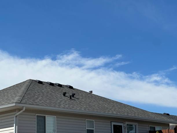 Best Steel Roofing  in Brodhead, WI